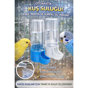 TİSERT KANARYA SULUK